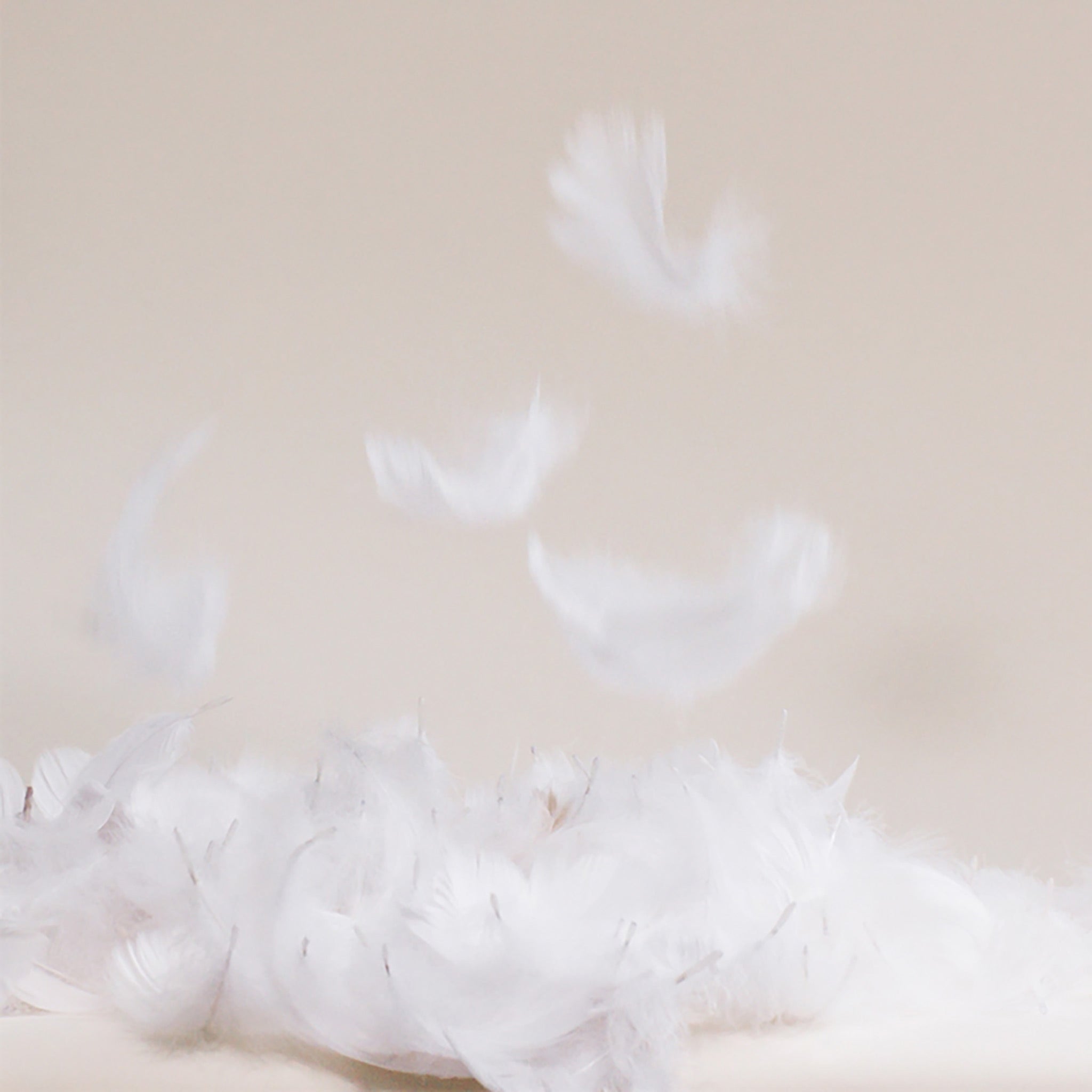 Down Pillow - Image 11