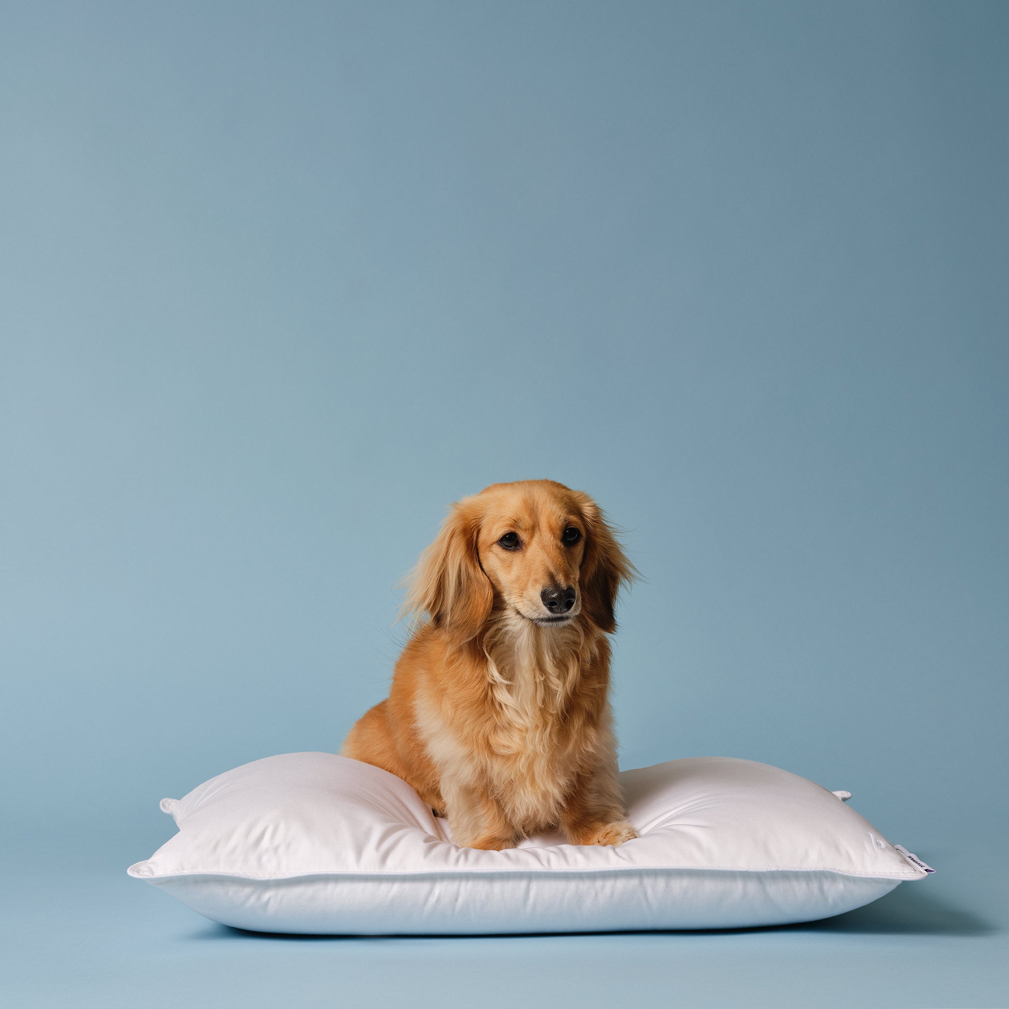 Down Pillow - Image 6