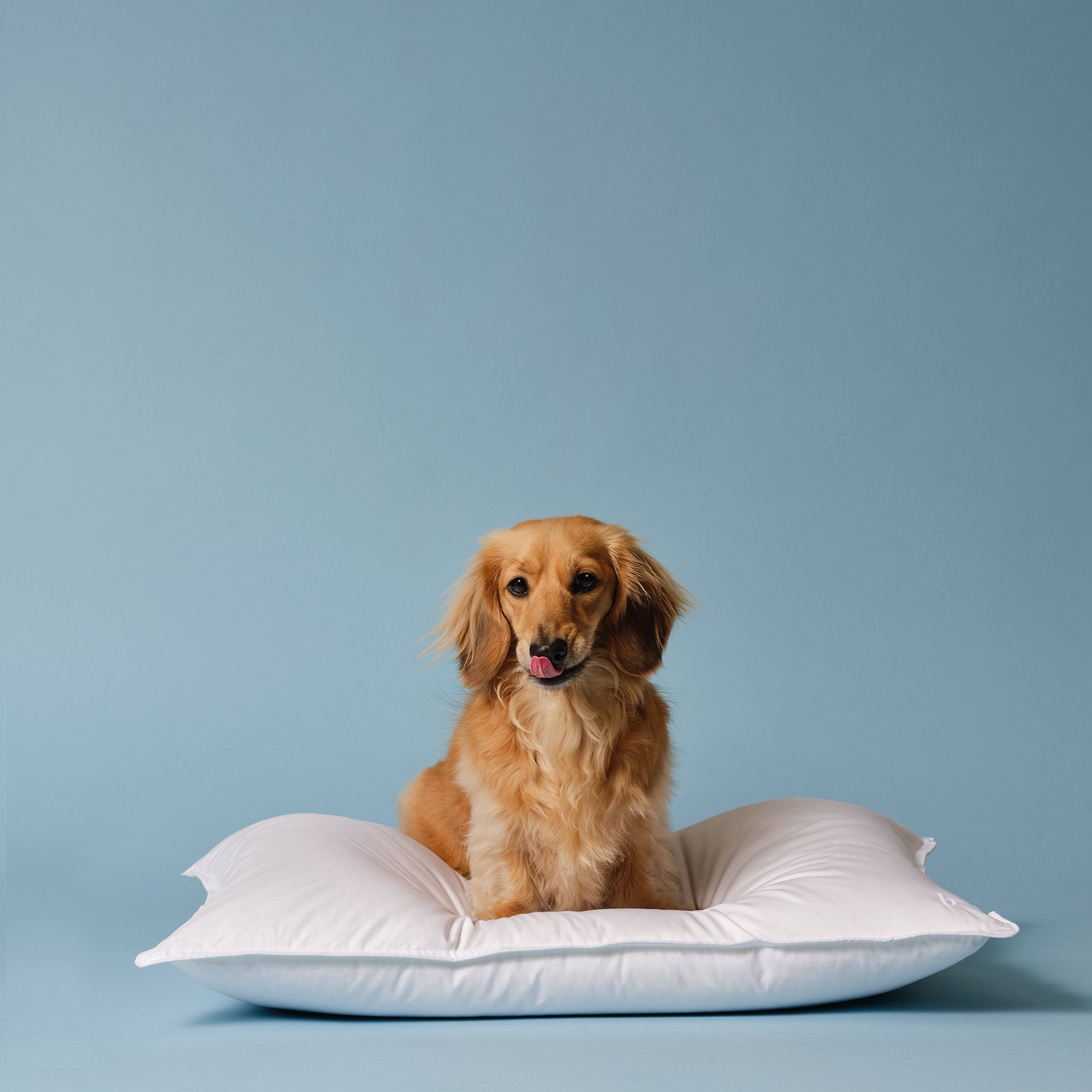 Down Pillow - Image 4